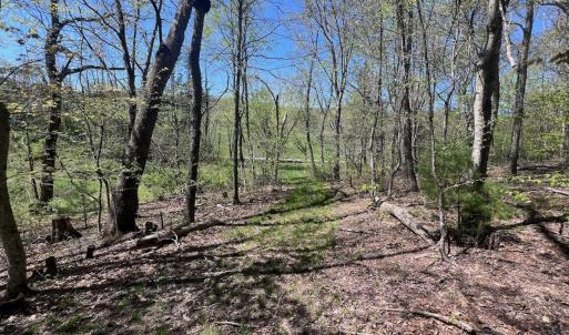 Photo #26 of 1120 Sam Snead Highway, Hot Springs, VA 23.6 acres
