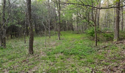 Photo #27 of 1120 Sam Snead Highway, Hot Springs, VA 23.6 acres