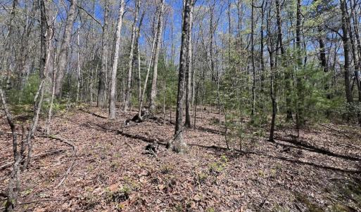 Photo #28 of 1120 Sam Snead Highway, Hot Springs, VA 23.6 acres