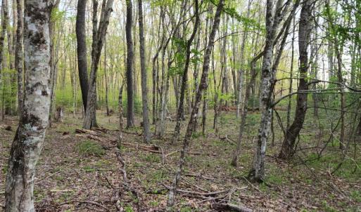Photo #29 of 1120 Sam Snead Highway, Hot Springs, VA 23.6 acres