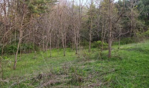 Photo #33 of 1120 Sam Snead Highway, Hot Springs, VA 23.6 acres