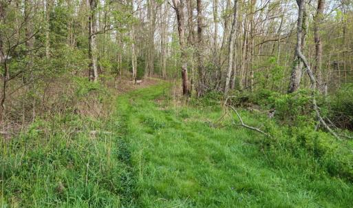 Photo #37 of 1120 Sam Snead Highway, Hot Springs, VA 23.6 acres