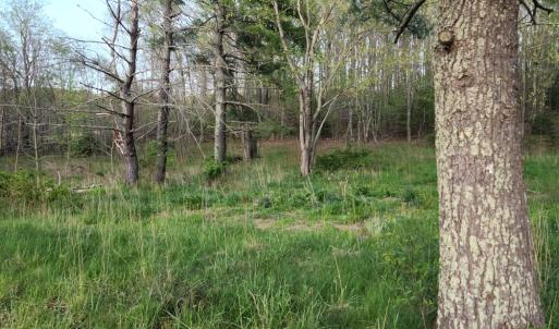 Photo #40 of 1120 Sam Snead Highway, Hot Springs, VA 23.6 acres