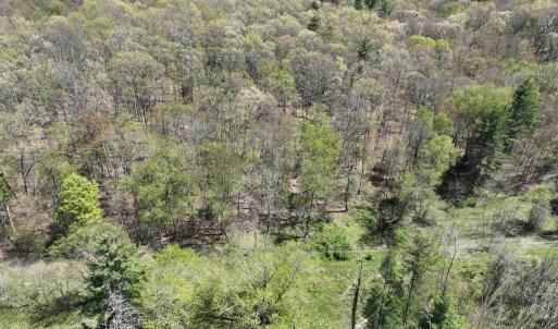 Photo #45 of 1120 Sam Snead Highway, Hot Springs, VA 23.6 acres