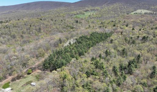 Photo #50 of 1120 Sam Snead Highway, Hot Springs, VA 23.6 acres