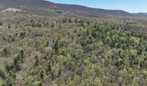 Photo #51 of 1120 Sam Snead Highway, Hot Springs, VA 23.6 acres