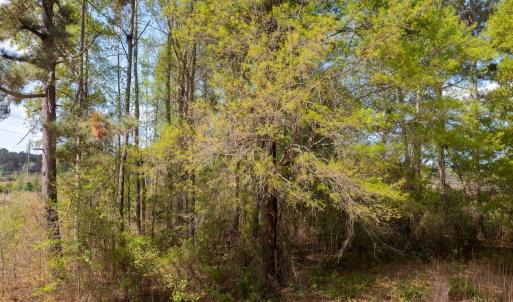 Photo #5 of Off Read Street, Laurinburg, NC 0.4 acres