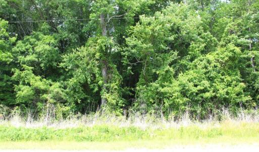 Photo #18 of Off Wiley Gaskins Road, Grifton, NC 1.1 acres