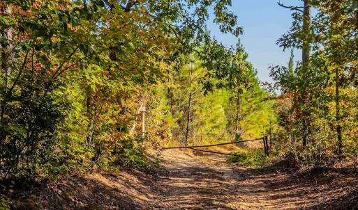 Photo #2 of Womack Rd. , Broadway, NC 715.9 acres