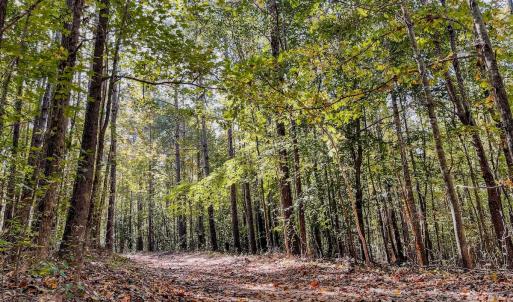 Photo #14 of Womack Rd. , Broadway, NC 715.9 acres