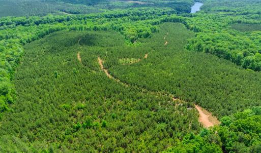 Photo #15 of Womack Rd. , Broadway, NC 715.9 acres