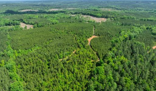 Photo #16 of Womack Rd. , Broadway, NC 715.9 acres