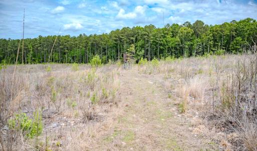 Photo #17 of Womack Rd. , Broadway, NC 715.9 acres