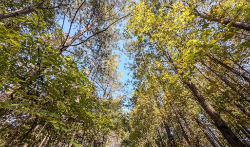 Photo #19 of Womack Rd. , Broadway, NC 715.9 acres