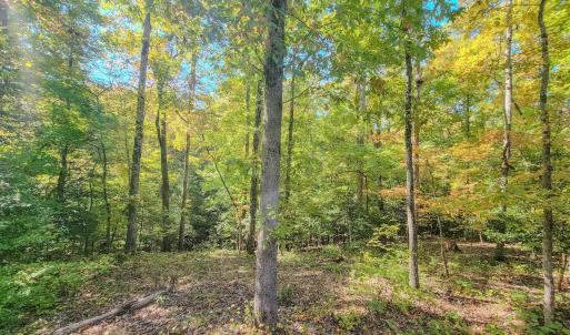 Photo #20 of Womack Rd. , Broadway, NC 715.9 acres
