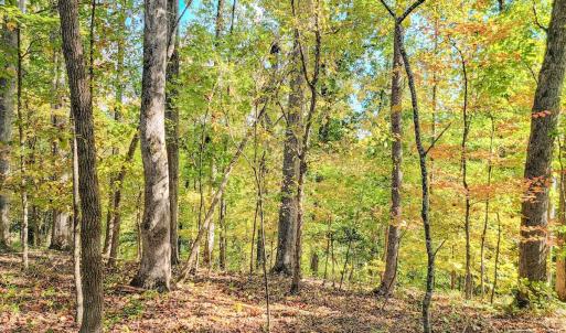 Photo #21 of Womack Rd. , Broadway, NC 715.9 acres
