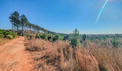 Photo #23 of Womack Rd. , Broadway, NC 715.9 acres