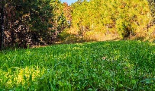 Photo #4 of Womack Rd. , Broadway, NC 715.9 acres
