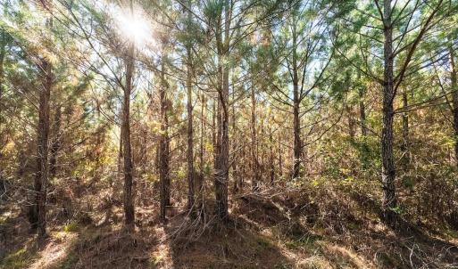 Photo #24 of Womack Rd. , Broadway, NC 715.9 acres