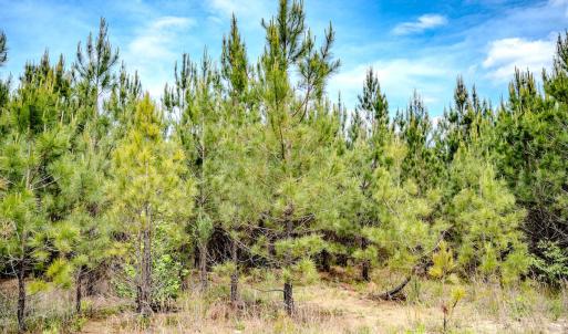 Photo #26 of Womack Rd. , Broadway, NC 715.9 acres