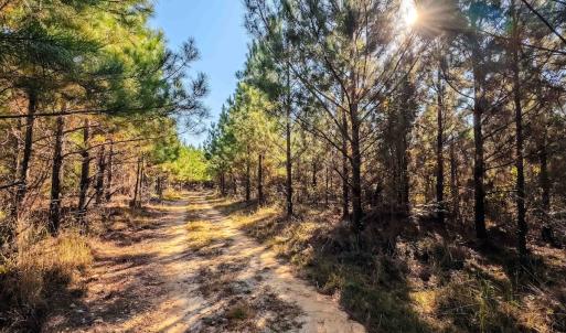 Photo #29 of Womack Rd. , Broadway, NC 715.9 acres