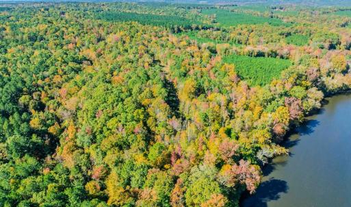 Photo #30 of Womack Rd. , Broadway, NC 715.9 acres