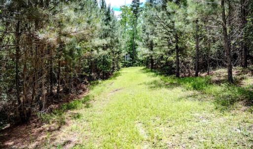 Photo #33 of Womack Rd. , Broadway, NC 715.9 acres