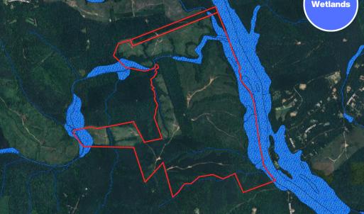 Photo #7 of Womack Rd. , Broadway, NC 715.9 acres