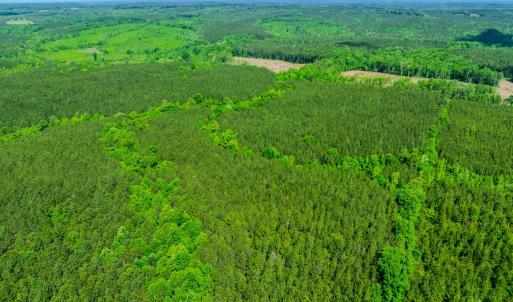Photo #34 of Womack Rd. , Broadway, NC 715.9 acres