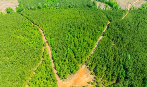Photo #35 of Womack Rd. , Broadway, NC 715.9 acres