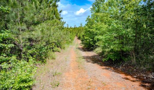 Photo #37 of Womack Rd. , Broadway, NC 715.9 acres