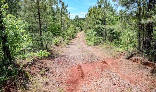 Photo #38 of Womack Rd. , Broadway, NC 715.9 acres