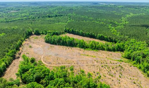 Photo #39 of Womack Rd. , Broadway, NC 715.9 acres