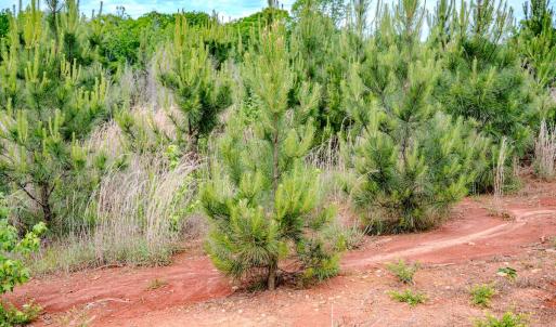 Photo #8 of Womack Rd. , Broadway, NC 715.9 acres