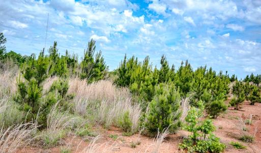 Photo #10 of Womack Rd. , Broadway, NC 715.9 acres
