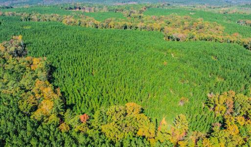 Photo #11 of Womack Rd. , Broadway, NC 715.9 acres