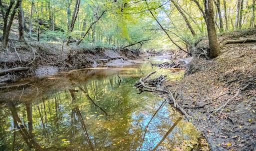 Photo #12 of Womack Rd. , Broadway, NC 715.9 acres
