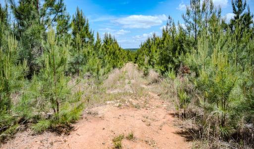 Photo #42 of Womack Rd. , Broadway, NC 715.9 acres