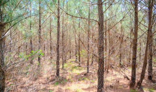 Photo #43 of Womack Rd. , Broadway, NC 715.9 acres