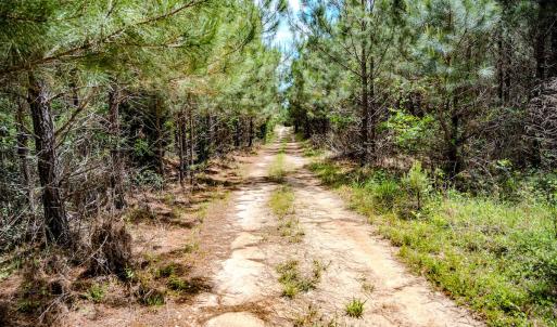 Photo #44 of Womack Rd. , Broadway, NC 715.9 acres