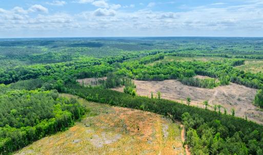 Photo #46 of Womack Rd. , Broadway, NC 715.9 acres