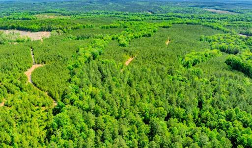 Photo #56 of Womack Rd. , Broadway, NC 715.9 acres