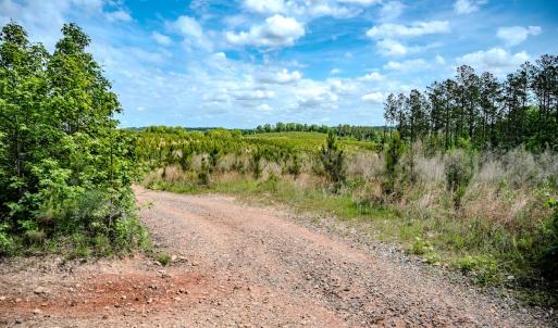 Photo #59 of Womack Rd. , Broadway, NC 715.9 acres