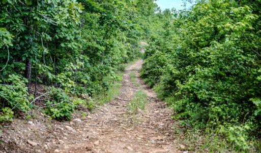 Photo #60 of Womack Rd. , Broadway, NC 715.9 acres