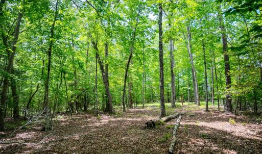 Photo #62 of Womack Rd. , Broadway, NC 715.9 acres