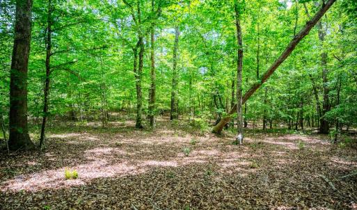 Photo #65 of Womack Rd. , Broadway, NC 715.9 acres