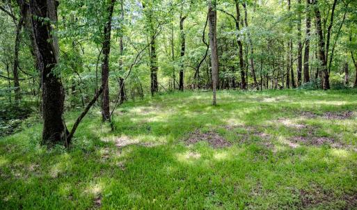 Photo #66 of Womack Rd. , Broadway, NC 715.9 acres