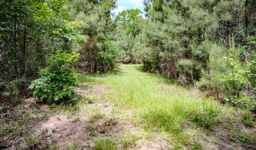 Photo #67 of Womack Rd. , Broadway, NC 715.9 acres