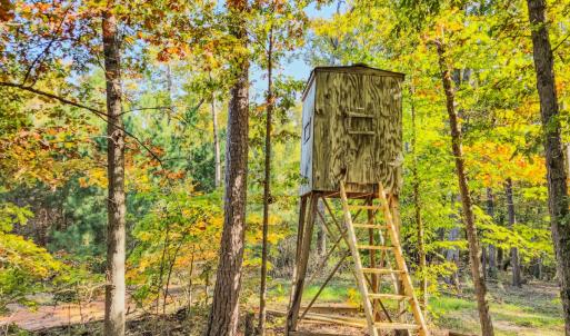 Photo #68 of Womack Rd. , Broadway, NC 715.9 acres