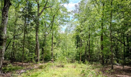 Photo #69 of Womack Rd. , Broadway, NC 715.9 acres